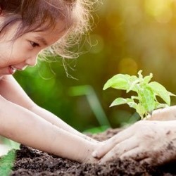 Dia Mundial do Meio Ambiente!